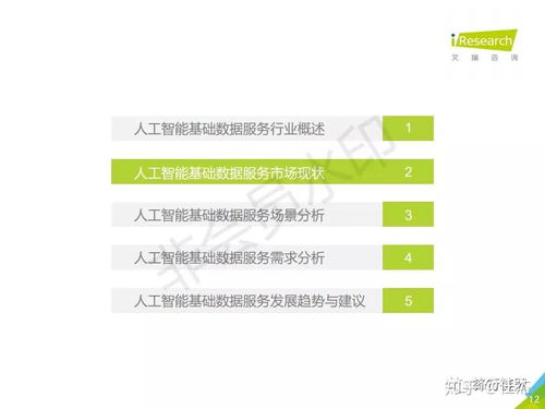 2019年中国人工智能基础数据服务白皮书 驱动智能未来的核心基石